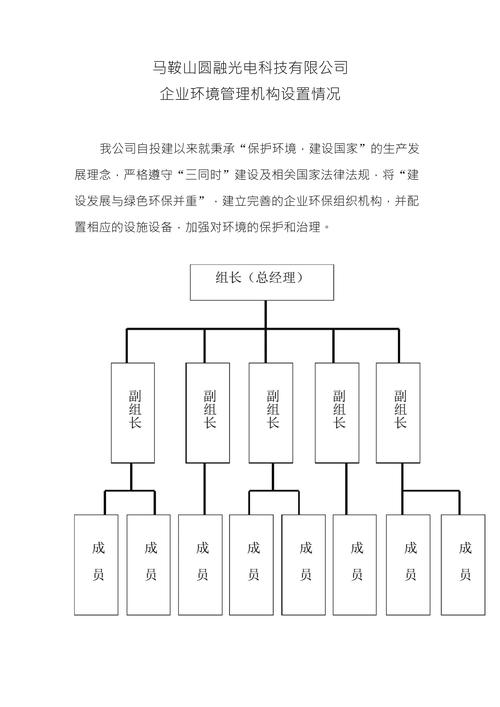 企业环境管理机构设置网络图